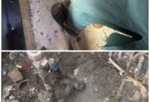 Major Gas Theft Network Busted in Murree; Successful Operation